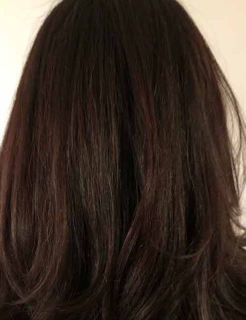 20+ The Best Dark Brown Hair With Highlights - Human Hair Exim
