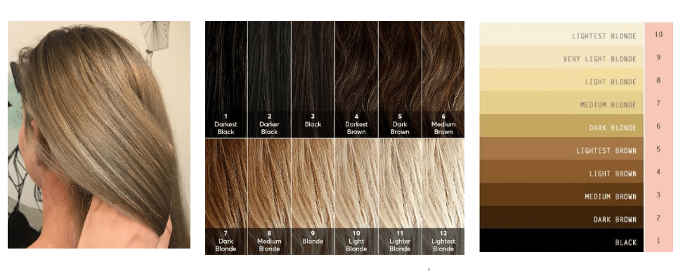 6. "The Difference Between Dark Blonde and Light Brown Hair Colors" - wide 5
